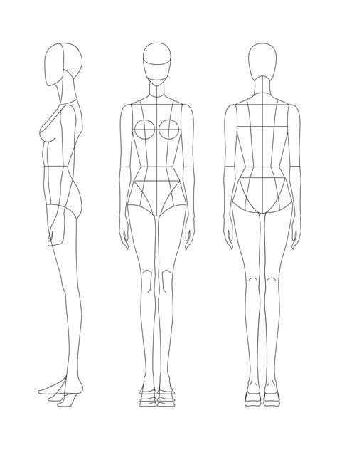 Body Template Drawing Female